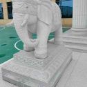 邯郸 白麻花岗岩动物异形石雕-大象