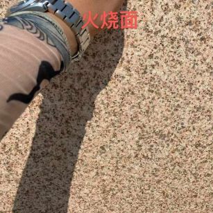 邯郸黄金麻火烧面