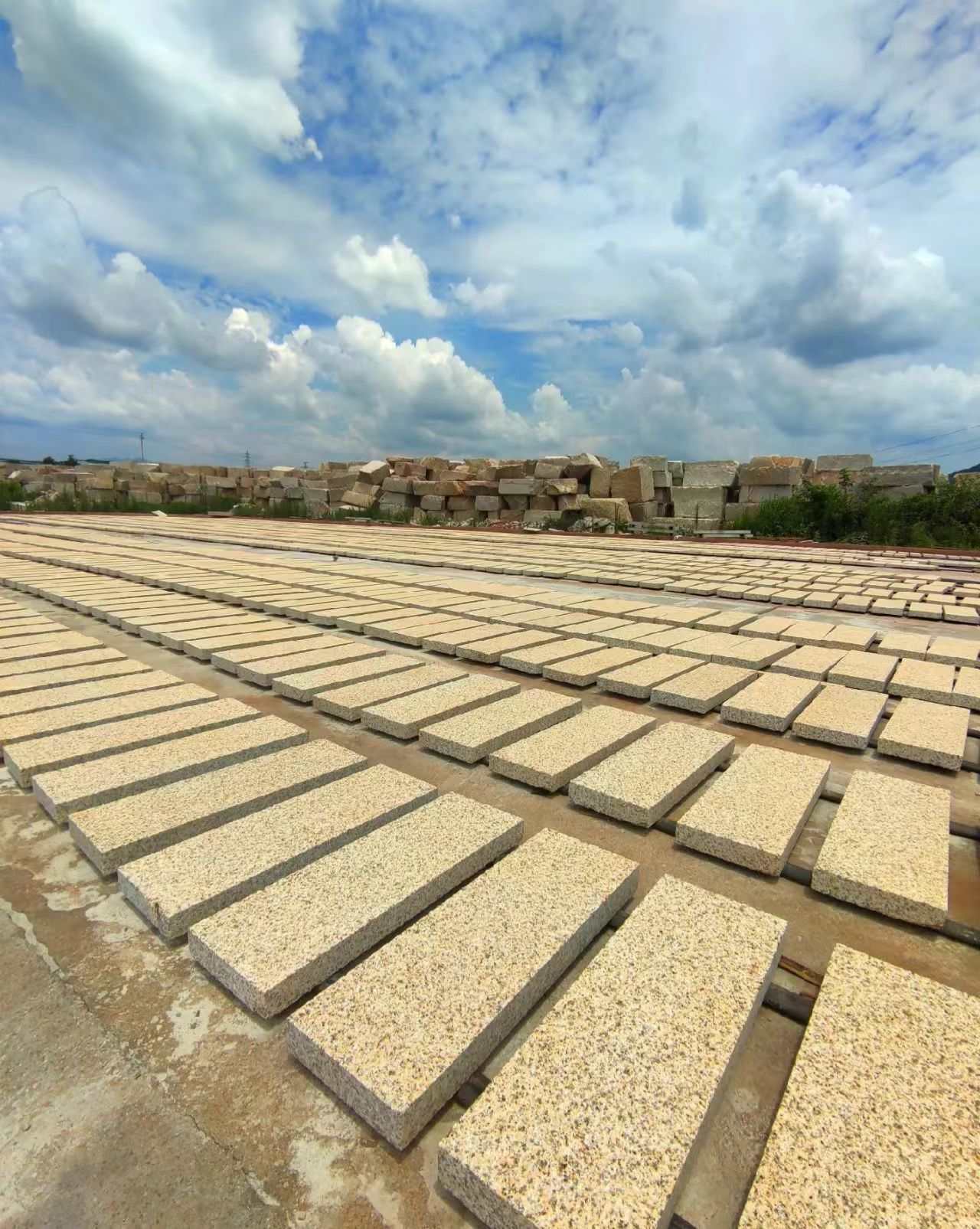 邯郸 黄金麻花岗岩荔枝面地铺石防护中